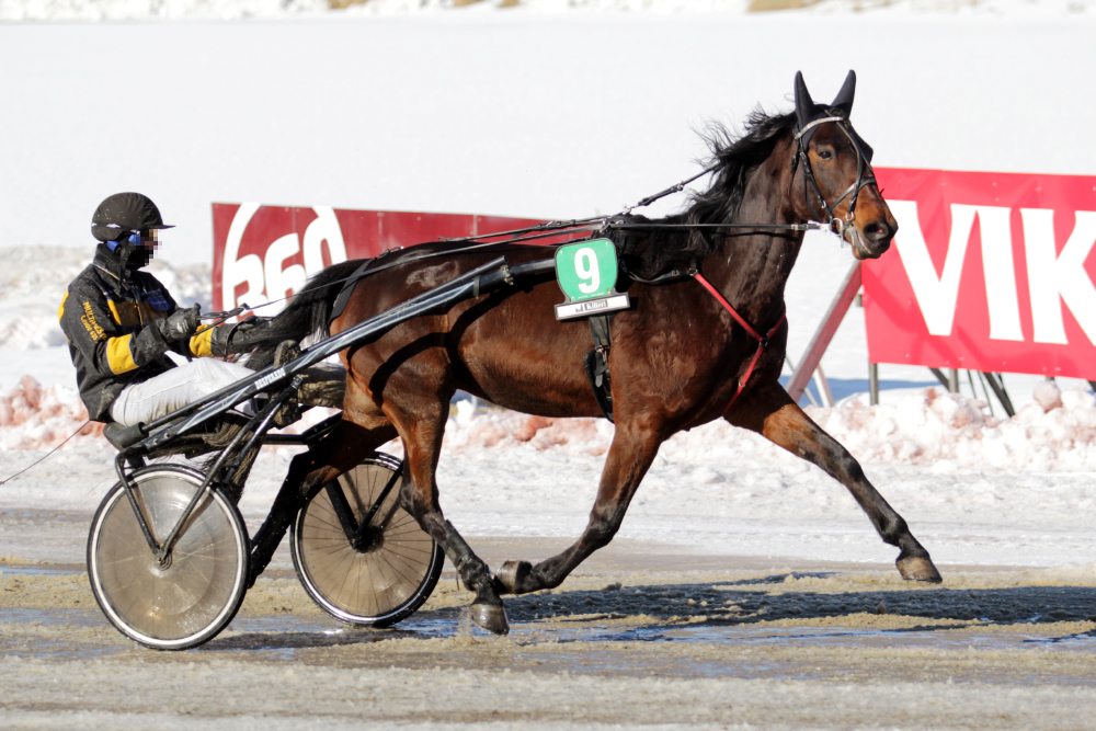 © tallin omaisuutta