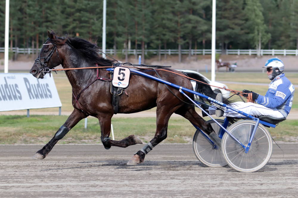 © tallin omaisuutta