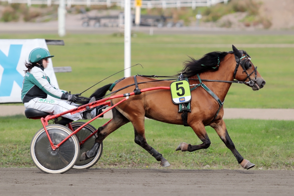 © tallin omaisuutta