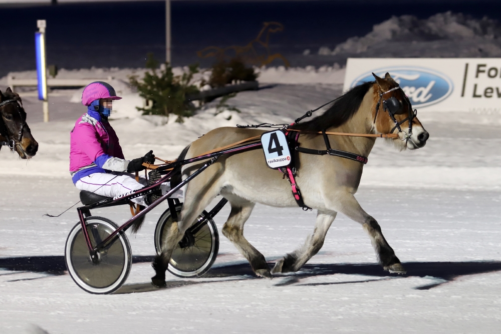 © tallin omaisuutta