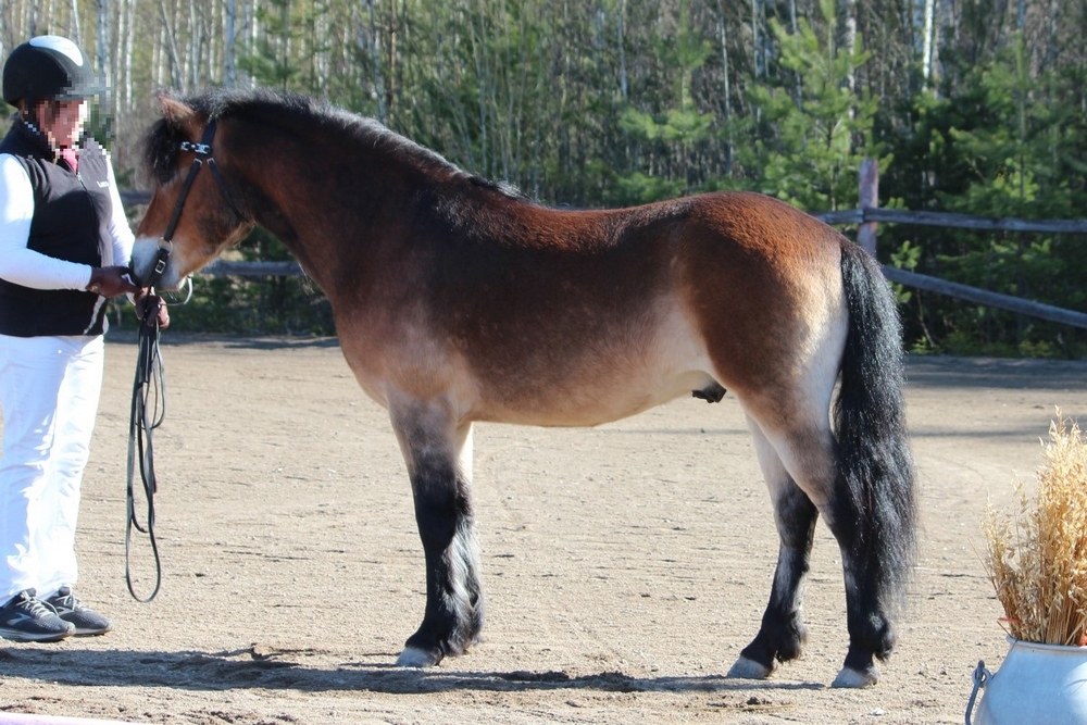 © pilvipelto.kuvat.fi