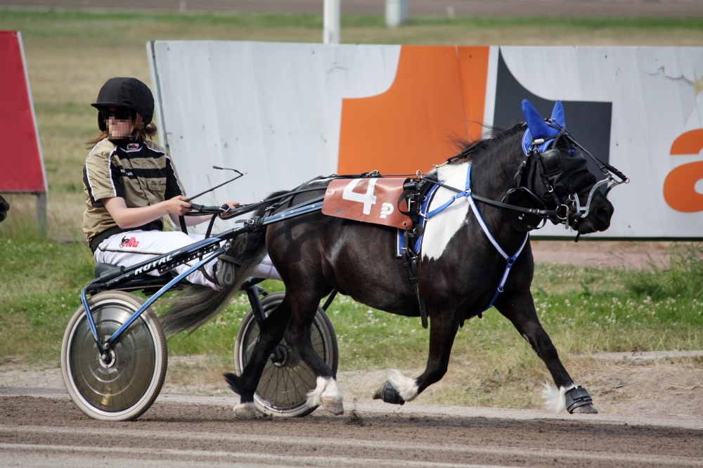 © tallin omaisuutta