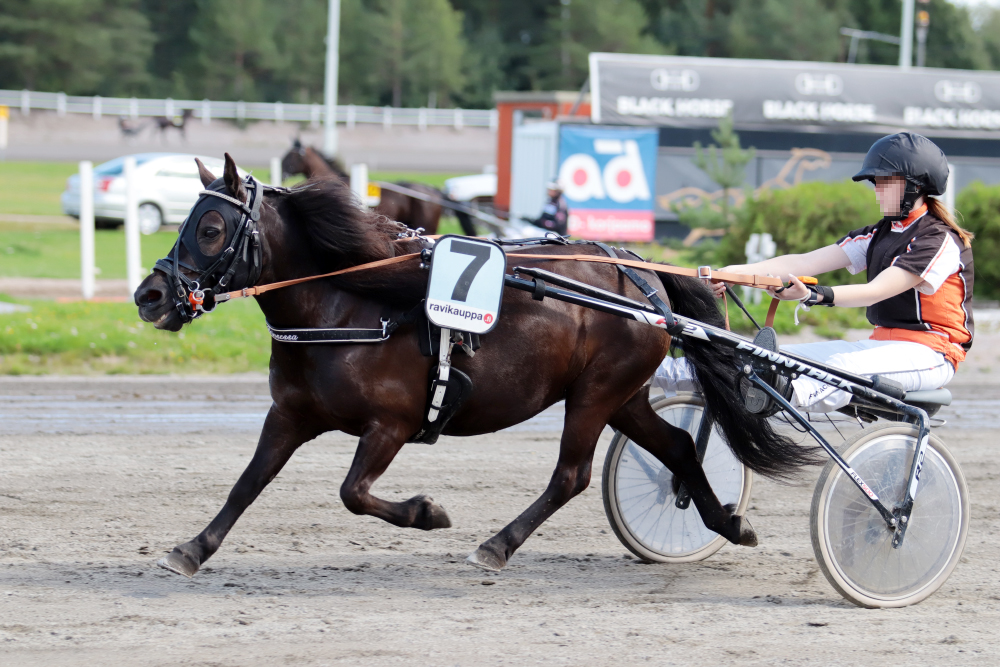 © tallin omaisuutta