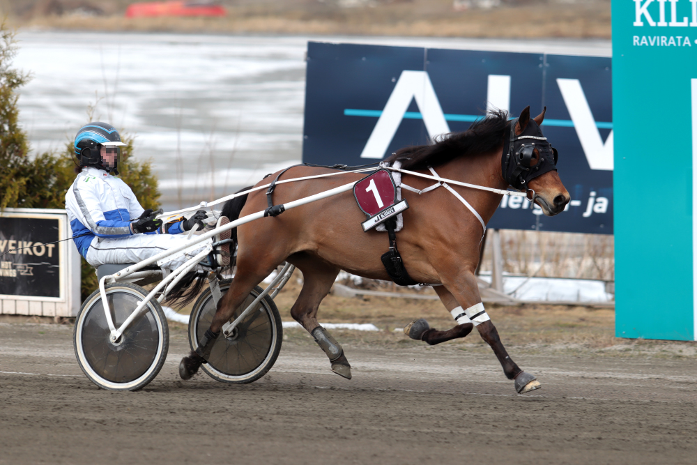 © tallin omaisuutta