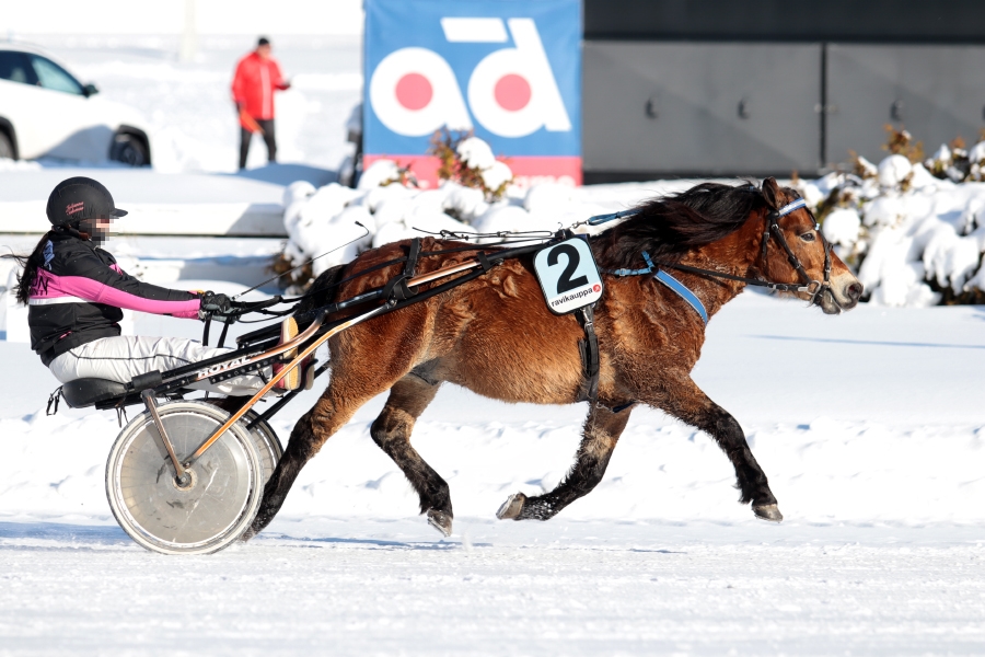 © tallin omaisuutta