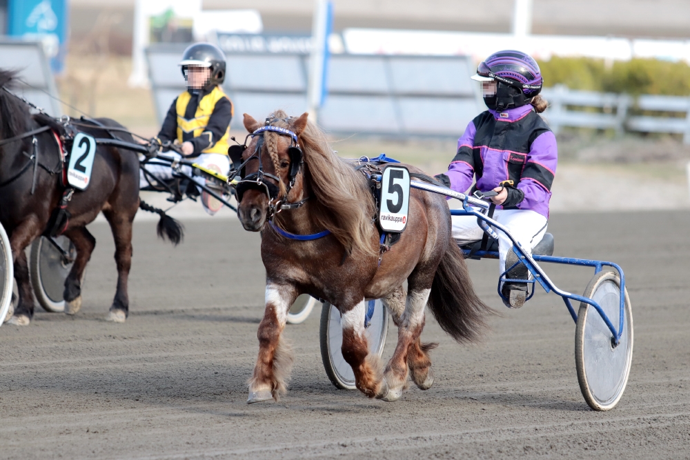 © tallin omaisuutta